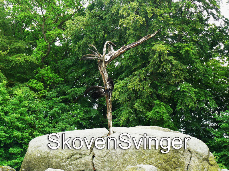 Skovensvinger